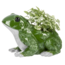 Whimsical Botanical Frog Planter