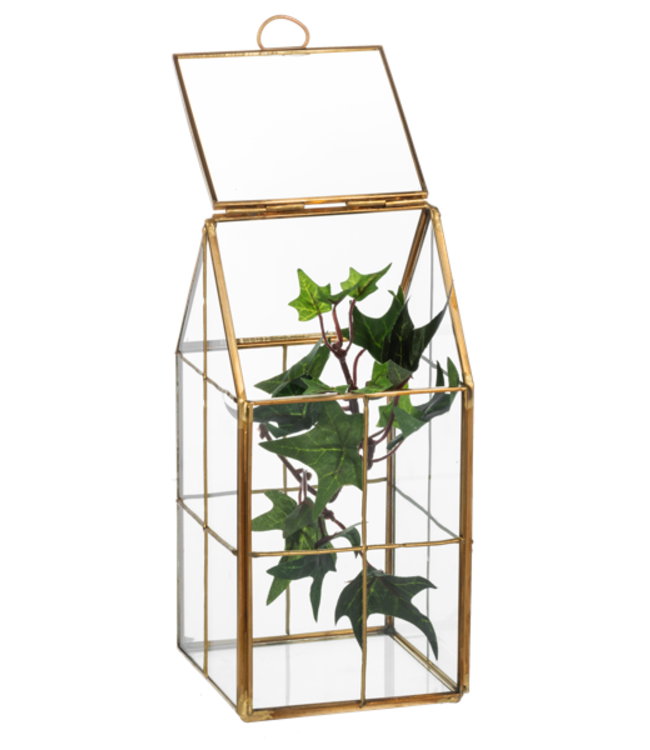 Copper House Terrarium: Plant Paradise