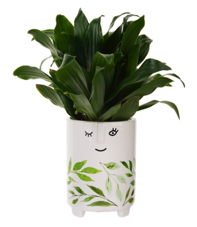 Leafy Face Planter: Ceramic with Drainage Hole