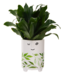 Leafy Face Planter: Ceramic with Drainage Hole