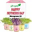 giftagreen Happy Mothers Day Gift Box- Microgreens