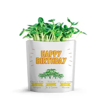 giftagreen Happy Birthday Card | Sunflower Microgreens