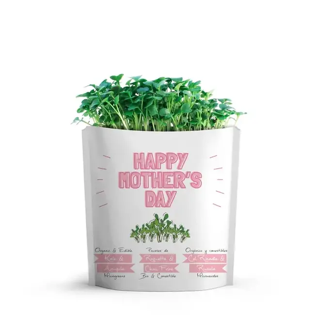 Mom's Day Greetings: Kale & Arugula Microgreens!