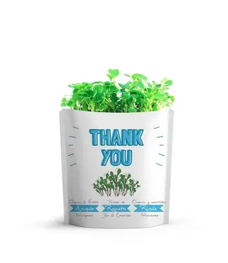 giftagreen Thank You Card | Arugula Microgreens