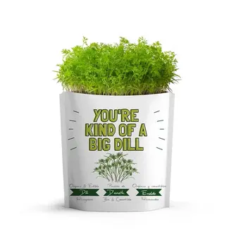 giftagreen You're Kind of a BIG Dill Greeting Card