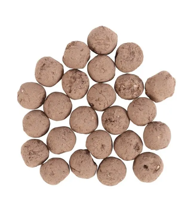 Seed Serenade: 24 Garden Ballads in a Bag