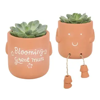 Something Different Blooming Mum Plant Pot Pal