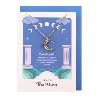Something Different The Moon Amethyst Necklace Card