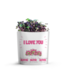 Grow Love: I Love You, Red Radish Style
