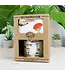 Fungi Fun: Mug & Sock Set