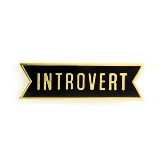 These Are Things Introvert Enamel Pin