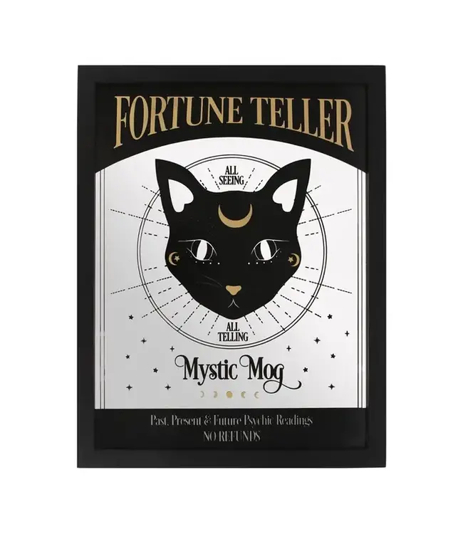 Mystic Mog: Reflective Whimsy Wall Hanging