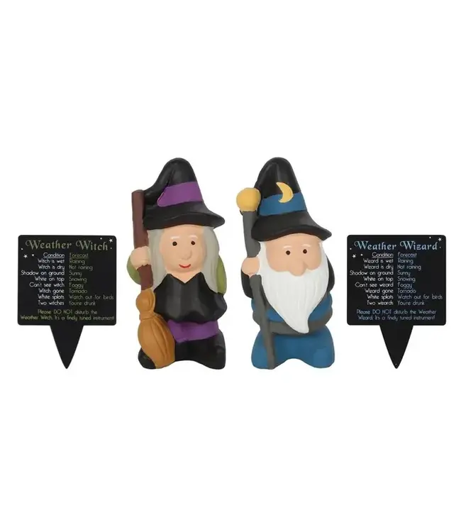 Garden Forecast: Whimsical Wizard Gnomes!