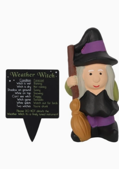 Weather Forecasting Witch