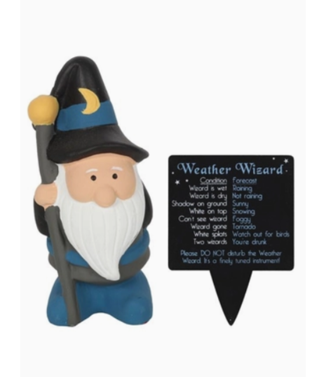 Garden Forecast: Whimsical Wizard Gnomes!