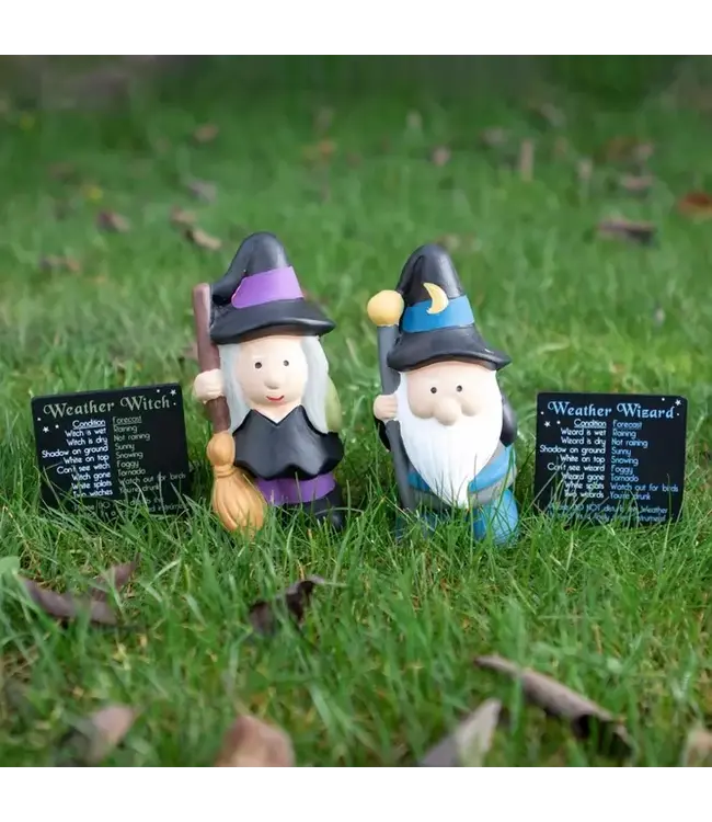 Garden Forecast: Whimsical Wizard Gnomes!