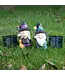 Garden Forecast: Whimsical Wizard Gnomes!