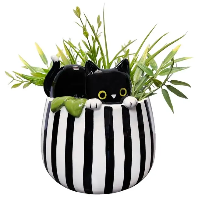 Whisker Wonderland: Peek-A-Boo Kitty Planter