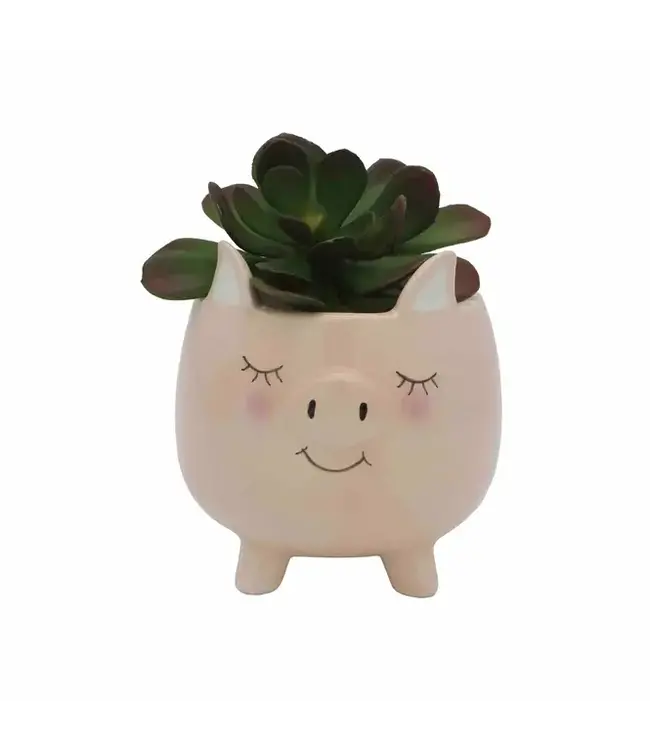 Swine and Succulents: Piggy Planter