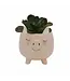 Swine and Succulents: Piggy Planter