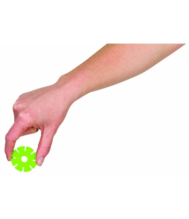 Whimsical Succulents: Hi There! Sculpture Kit