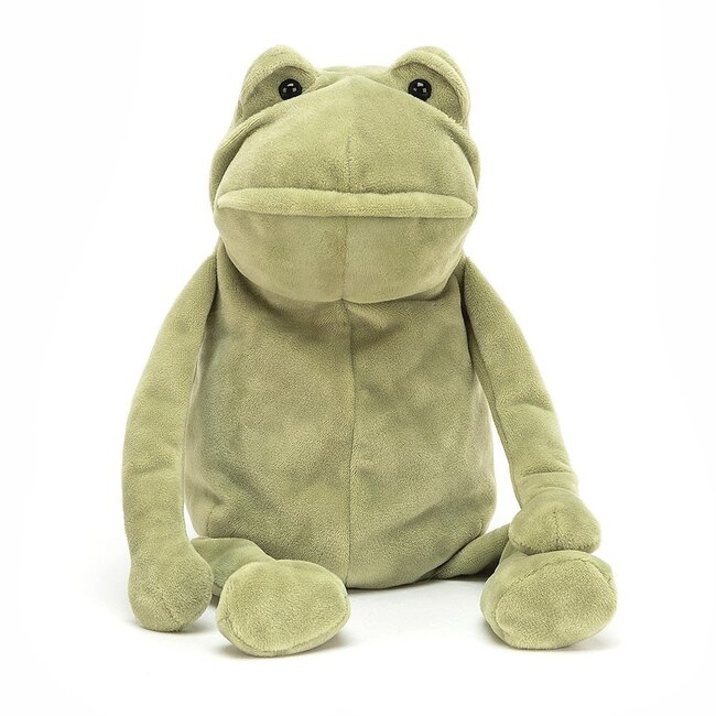Fergus Frog: The Grumpy Guru
