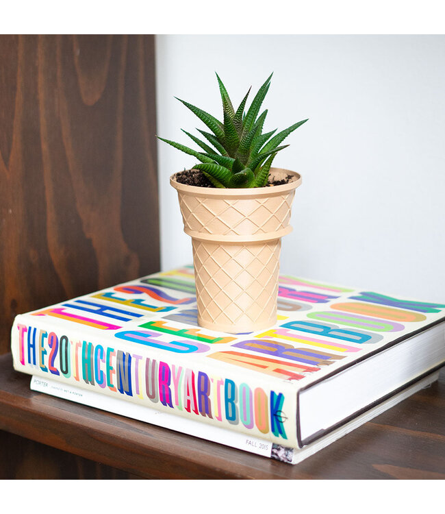 Chill Plant Vibes: Eufolia's Ice Cream Cone Planter!