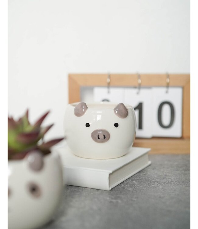 Potted Perfection: Animal Ear Elegance