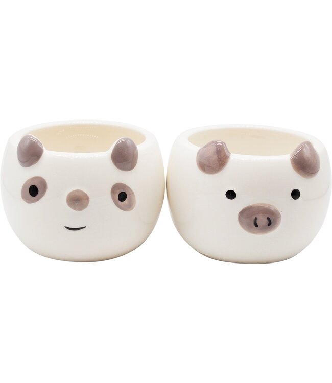 Potted Perfection: Animal Ear Elegance