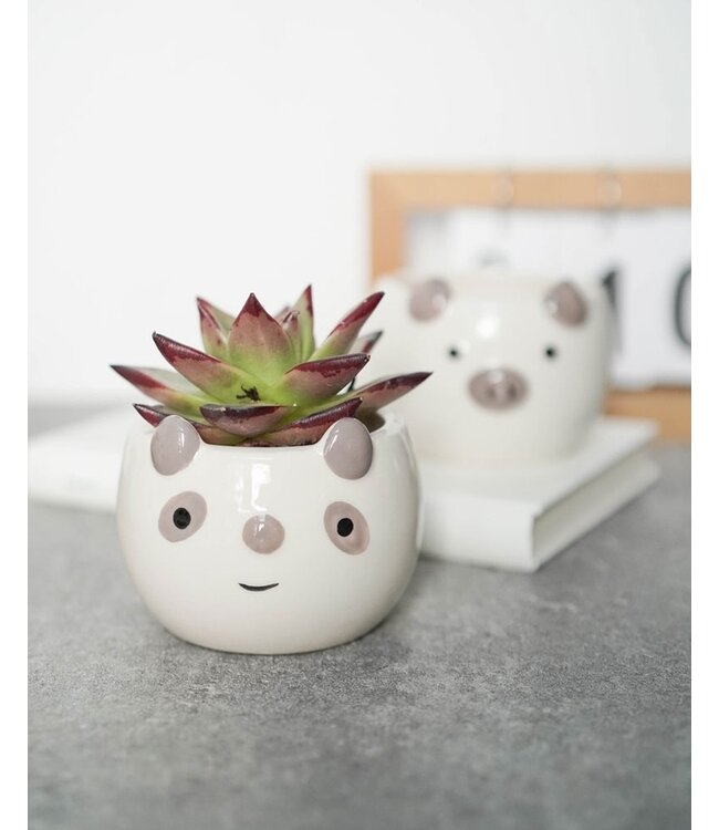 Potted Perfection: Animal Ear Elegance