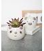 Potted Perfection: Animal Ear Elegance