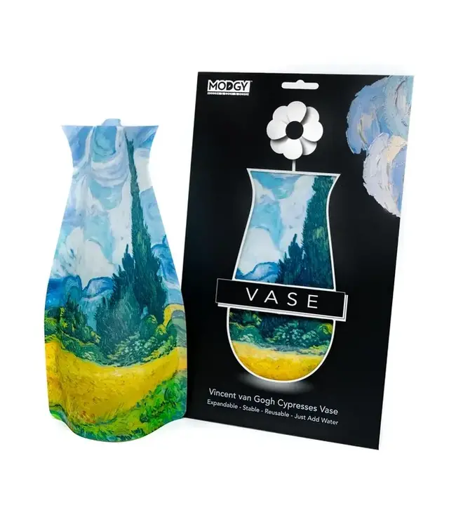 Van Gogh's Vase: Art with a Twist!