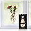Suction Cup Vase