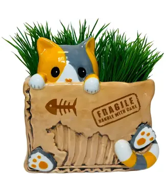 Streamline Cat in the Box Planter