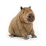 Clyde Capybara: The Chill Charmer