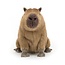 Clyde Capybara: The Chill Charmer