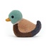 Dizzy Duck: Birdling Mallard