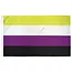 Beyond the Binary: Non-binary Pride Flag