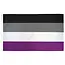 Fly Your Ace: Premium Asexual Pride Flag