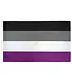 Fly Your Ace: Premium Asexual Pride Flag