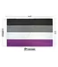 Fly Your Ace: Premium Asexual Pride Flag