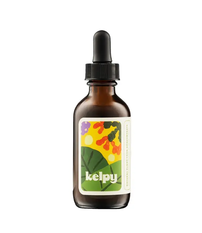 Kelpy: Ocean Magic for Your Indoor Garden