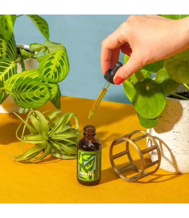 Neem Oil: Green Thumb's Secret Weapon