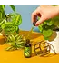Neem Oil: Green Thumb's Secret Weapon