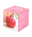 Whimsical Red Apple Oil Burner