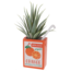 Juice Box Planters: Sip on Succulent Style!