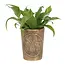 Moon Shadows Bronze Terracotta Plant Pot