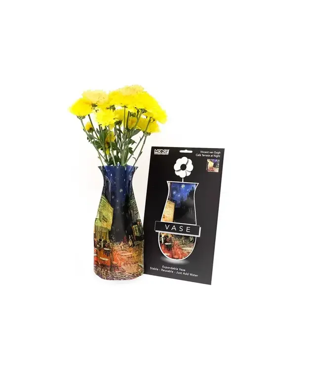 Van Gogh's Vase: Art with a Twist!