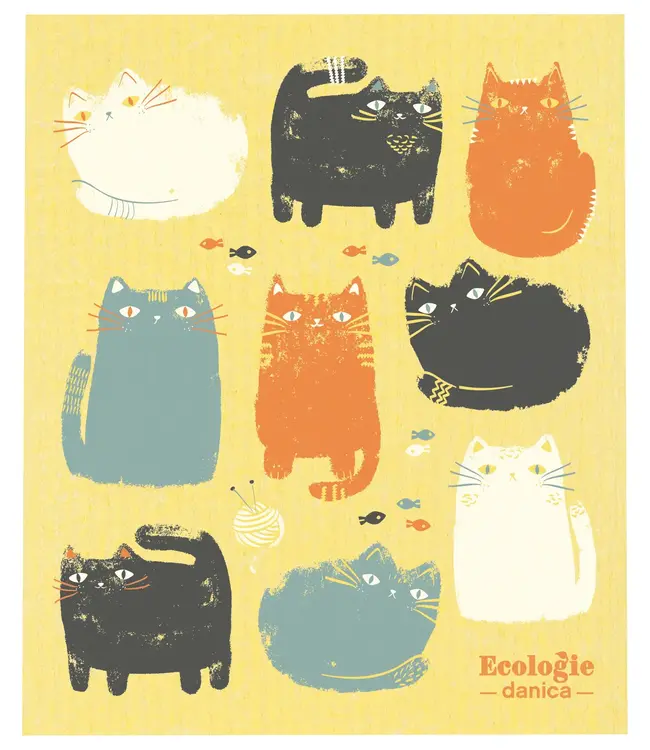 Eco Dishcloth: Wipe Smart!