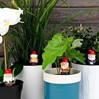 Gift Republic Naughty Gnomes Planters